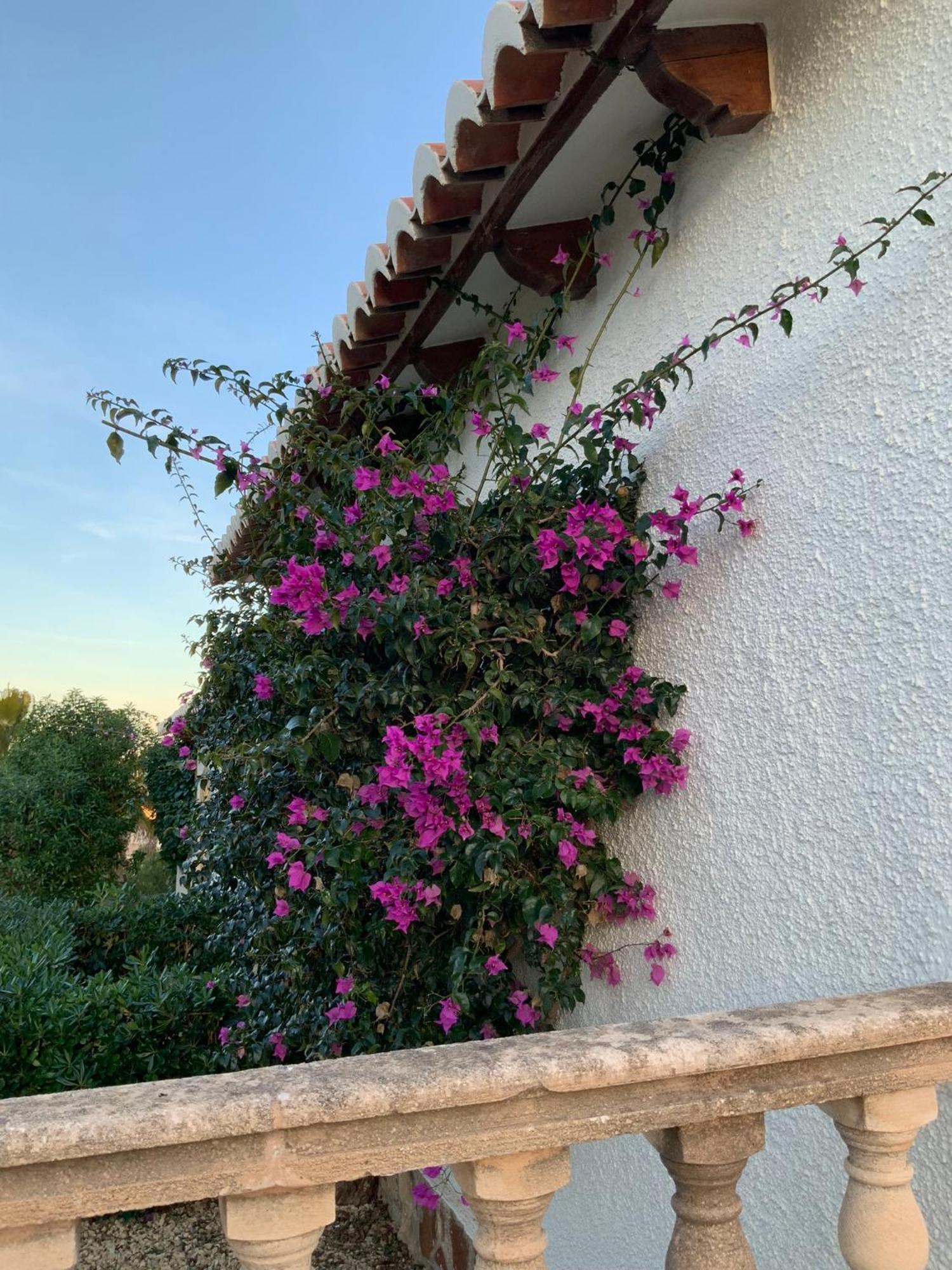 Casa Lila Javea